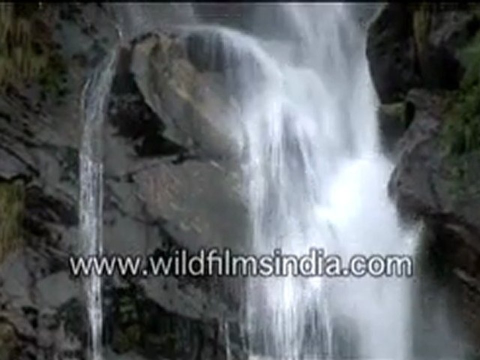 Gushing waterfall, Amarnath, Jammu & Kashmir