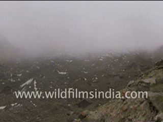 Gangotri River Ganga Uttaranchal