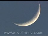 Moon up close, with craters!