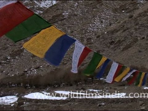 Prayer Flags, Ladakh