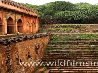 Historical Tomb at Delhi