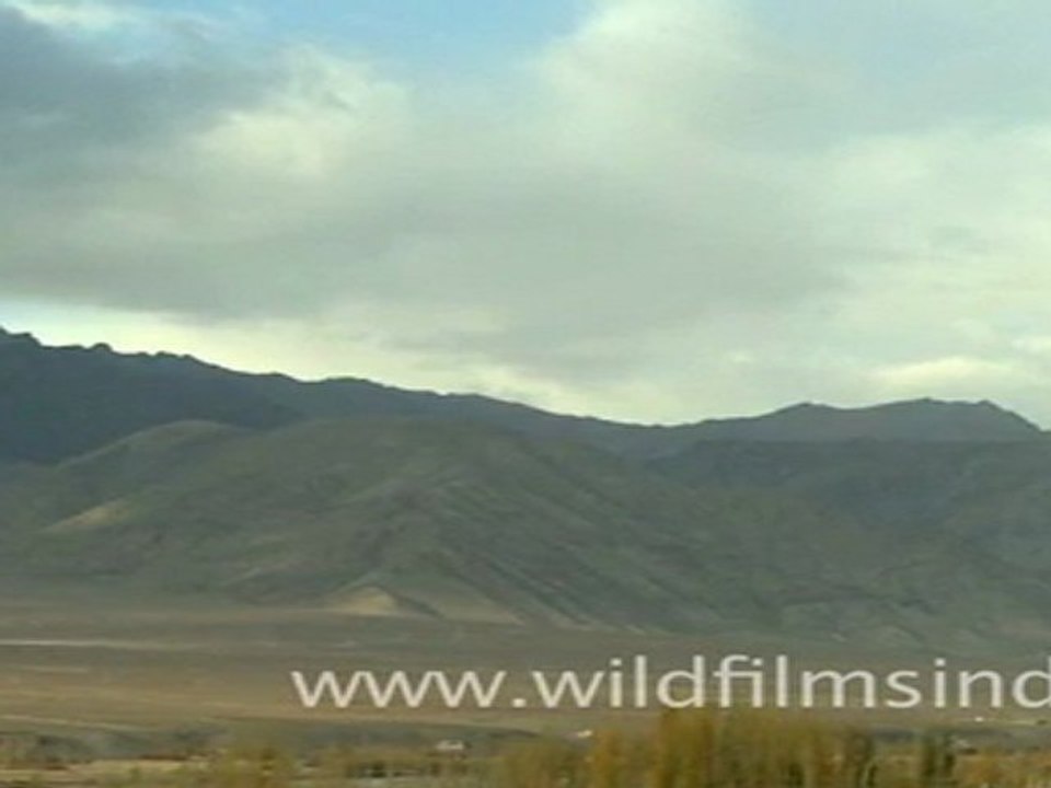 Ladakh surrounded by mountains