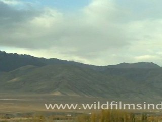 Ladakh surrounded by mountains