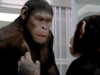 Rise of the Planet of the Apes - Comic Con Trailer [VO|HD]