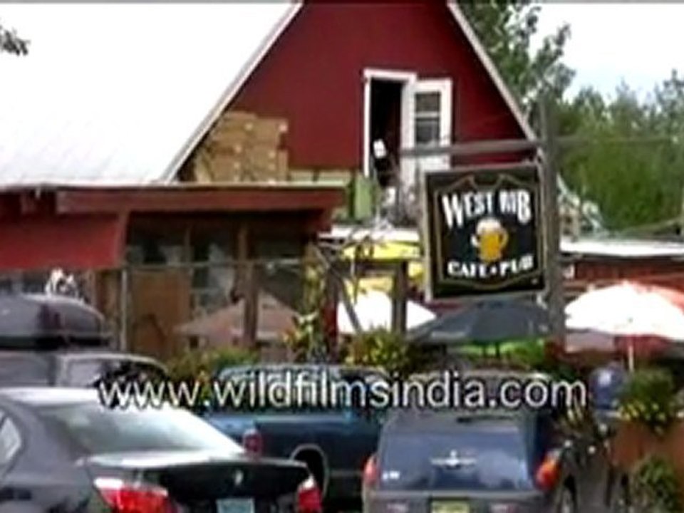 Alaska Living Life USA