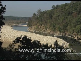 Corbett National Park