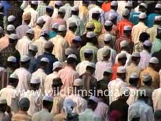 Fast Motion of Kumbh Mela, Jagannath Rath Yatra, Muharram, Eid