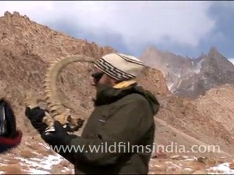 Landscapes of Ladakh