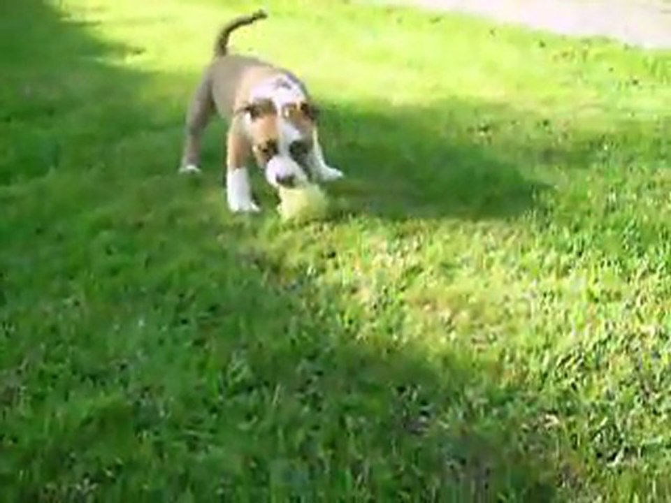 vidéo du 22.07.2011 de Yana