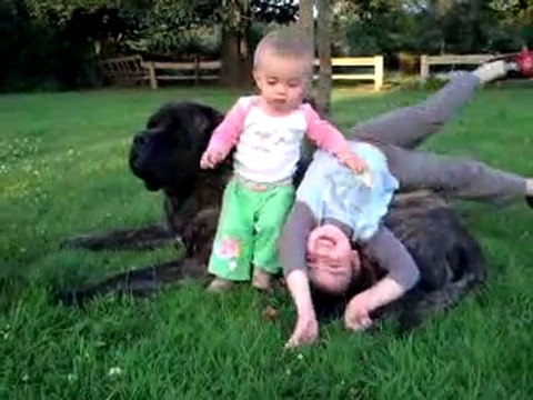 MASTIFF ABRAXAS ET ENFANTS