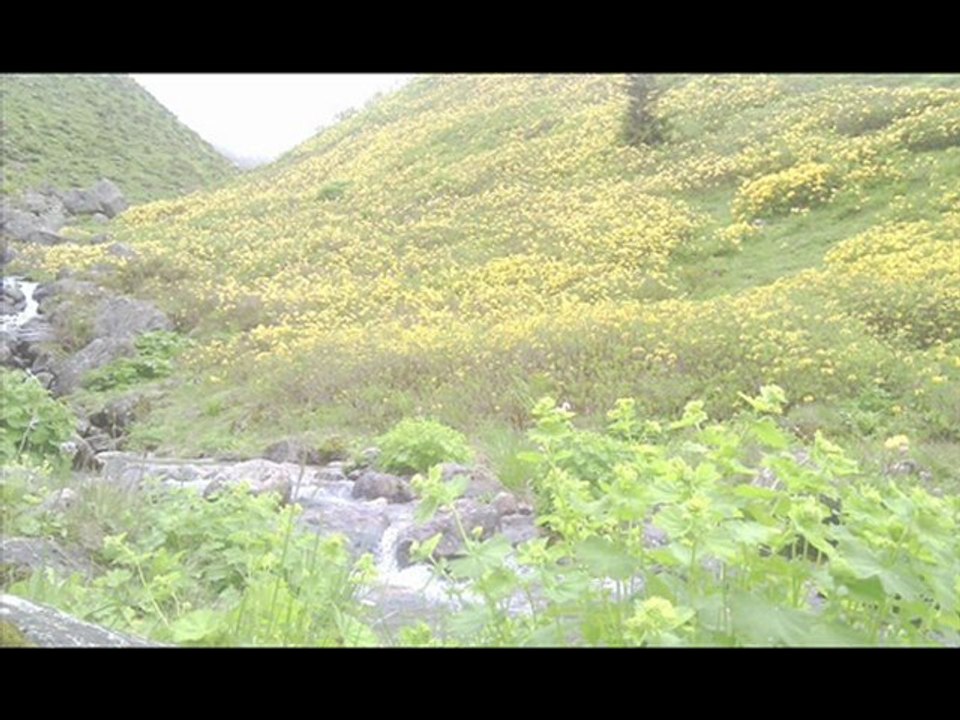 çamlıhemşin manzara yaylalar-32- kavrun.tr.gg