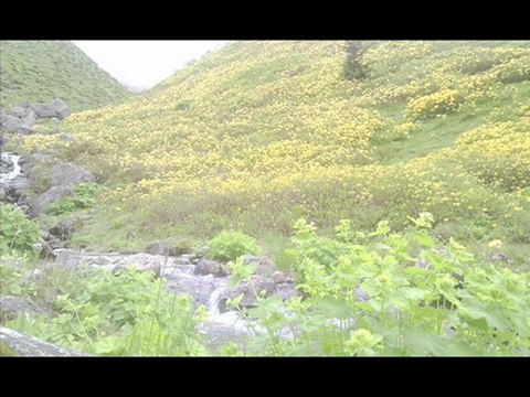 çamlıhemşin manzara yaylalar-32- kavrun.tr.gg