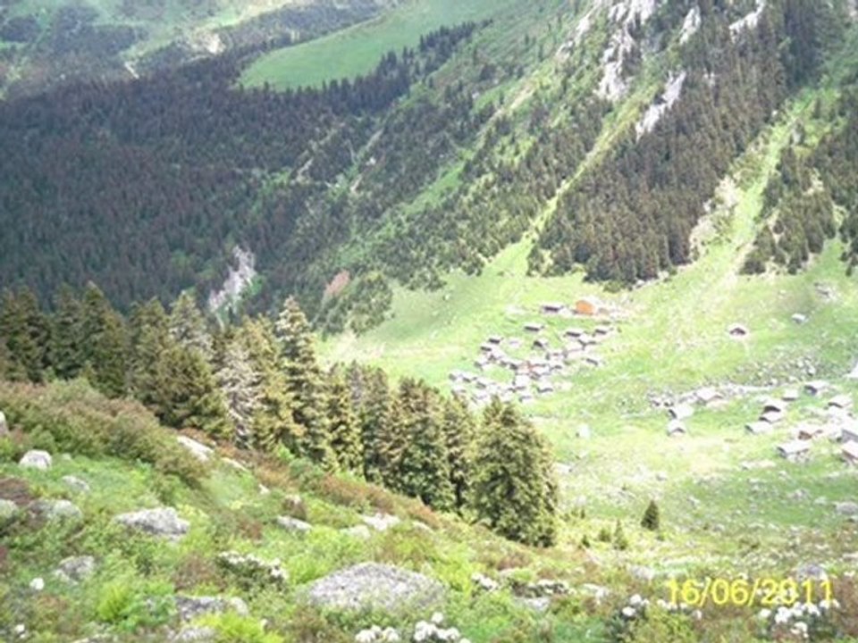 Amlakit yaylası Mahmut Turan  hemşin horanı-kavrun.tr.gg