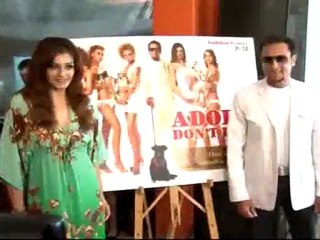 PETA HOMELESS DOG ADOPTION Launch