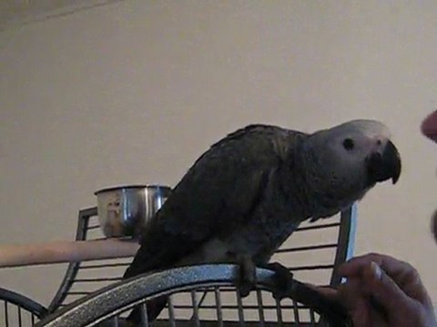 bisous avec nala 1er jour elle a 3 mois