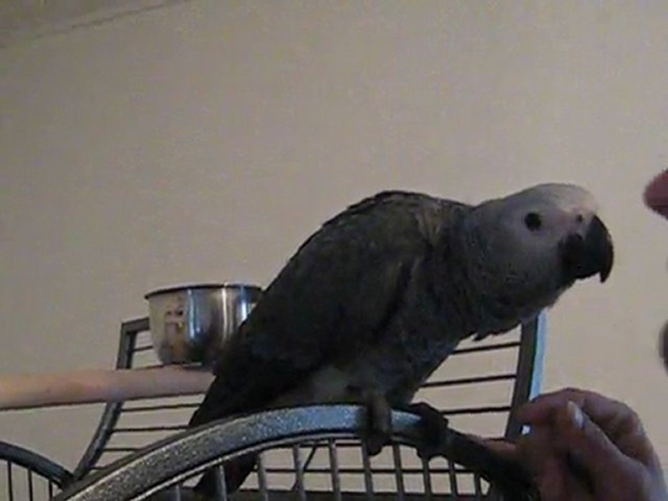 bisous avec nala 1er jour elle a 3 mois