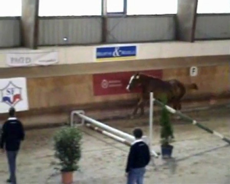 Unice de ThoZano - CIR 3 ans