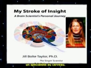 Beyond The Cutting Edge - David Icke A5 VoixFR