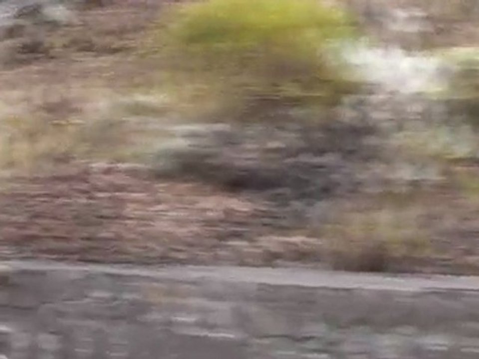une promenade vers la plaine des sables