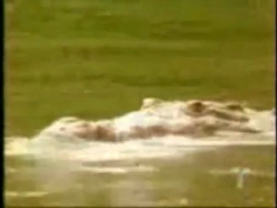 La Tormenta- La muerte de Edelmira Guerrero