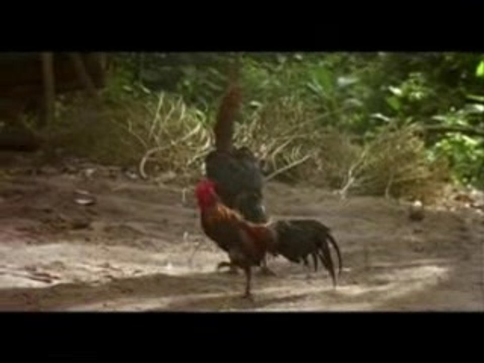 Neang Arb Part 5