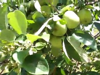 BÖYLESİNE BİR YAPIYLA KÖYÜMÜZE DEĞER KATAN (SALİH YALCINTEPE ) SONSUZ TEŞEKKÜRLER ALLAH RAZI OLSUN