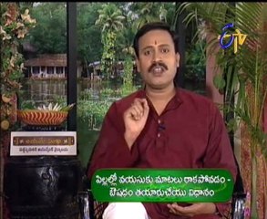 Jeevana Jyothi - Ayurveda - Yoga - Health Treatment - 01