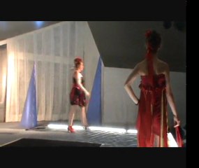 Défiler 2010-2012 (2)