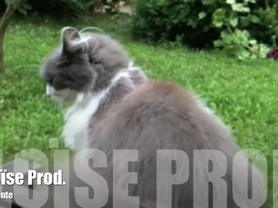 "Trop pas!", making of Part II (/II)