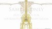 Lumbar Spine Anatomy Central Peripheral Nervous System Nerve Roots neuro-surgery illustrations