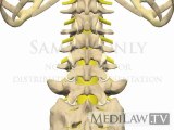 Lumbar Spine Movement Inter-vertebral Flexion Extension chiropractry movies