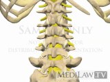 Lumbar Spine Movement Inter-vertebral Lateral Flexion chiropractic movies