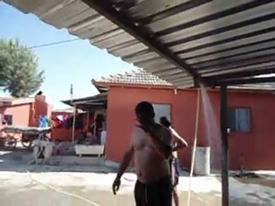MOV03542