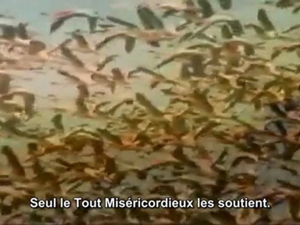 Sourate Al-Mulk (67); Verset 19
