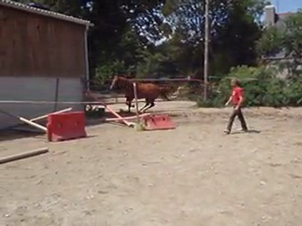 Ecuries du Nevez Unica 3