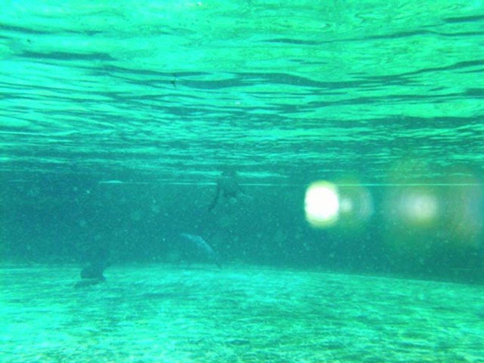 Carl's Project -Slow..