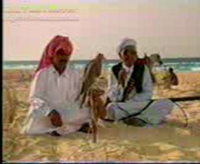 شواطئ مرسى مطروح