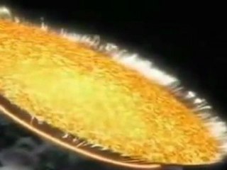 Revelations - Como vocês sairiam dessa situação