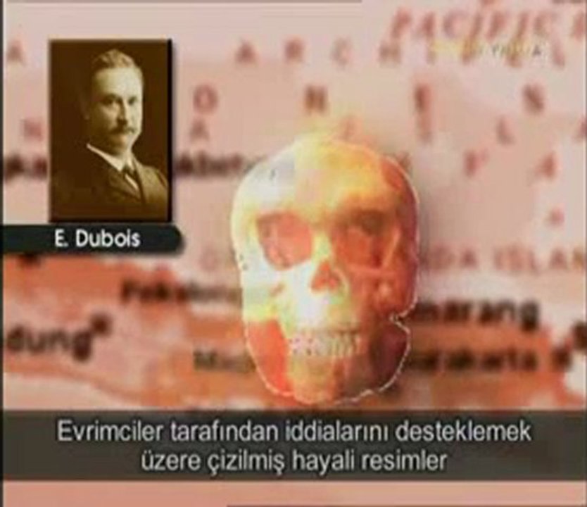 İnsanın hayali soy ağacı