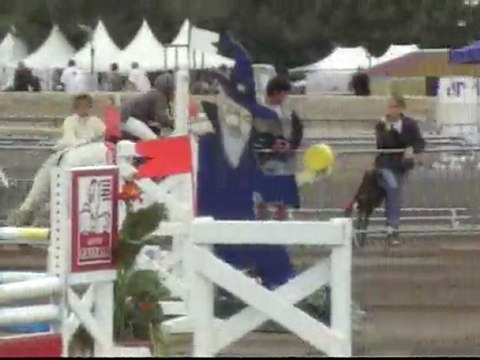 LAMOTTE-PONEYS-2006-A1elFa-79