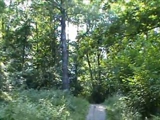 Провинциальная дворянская усадьба XVIII-начала XX веков. Щеглово (Малая Румполова) вблизи Всеволожска.