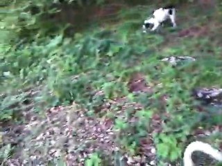 bouga gros bois foret pas de l'ours