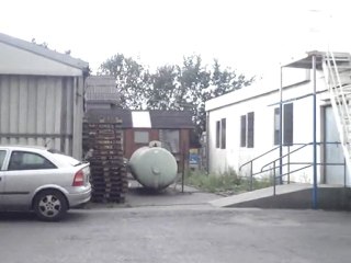 güvercin,takla,almanya,kuscuevren