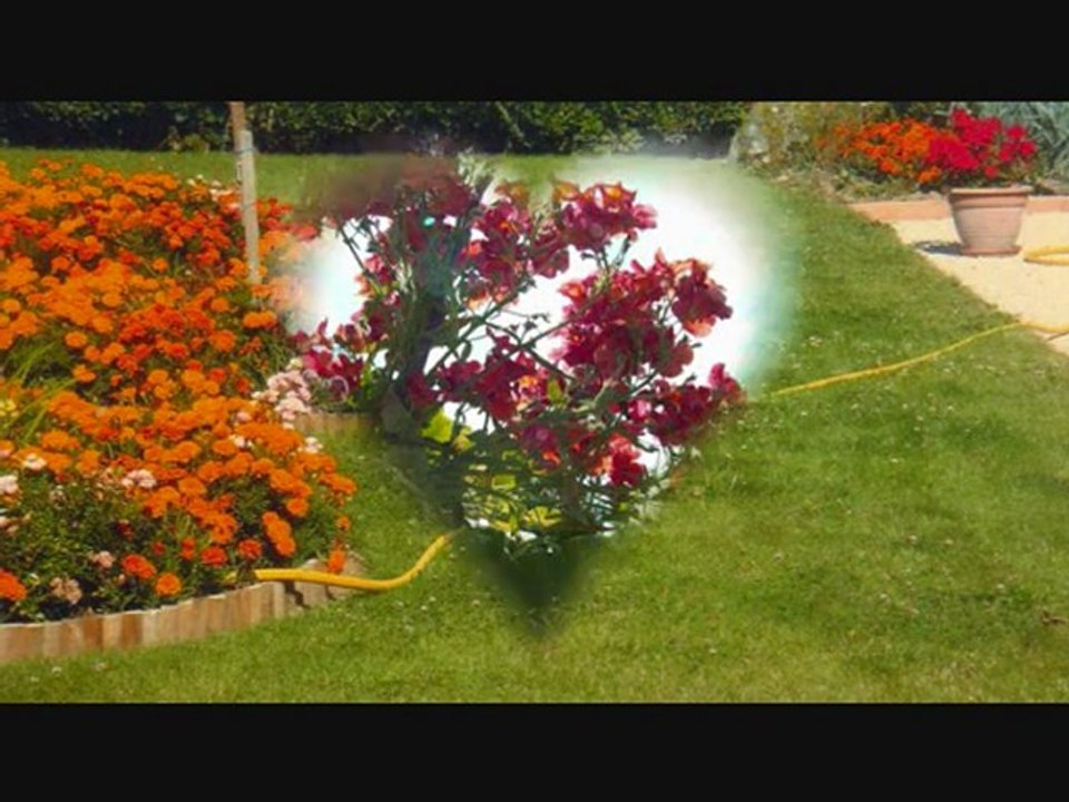 Concours maisons fleuries 2009