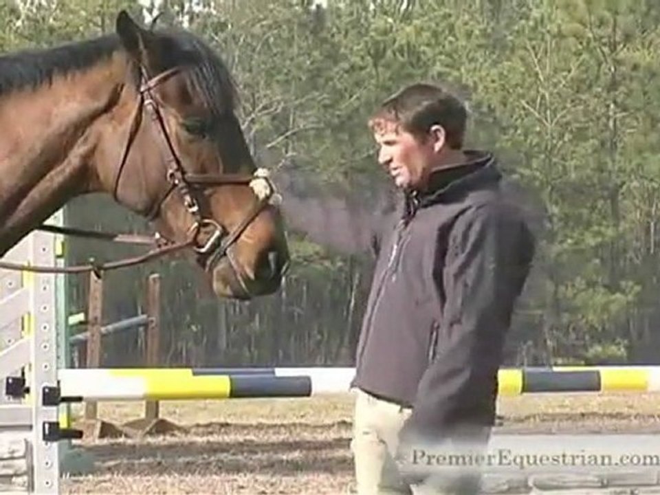 Phillip Dutton Pro Tips - Horse Jumps - Horse Jump Training