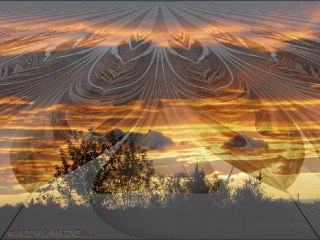 ©MARTINE ANCIAUX CREATRICE DE LA PHOTO-PEINTURE©