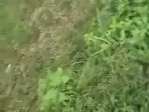 Аварияv(strangeworlds.at.ua)