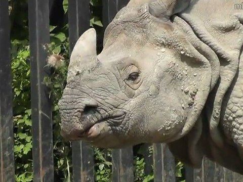 Zwierzęta w zoo - Warszawa