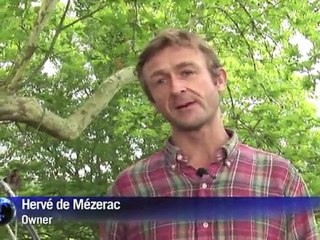French hotels take off....with treetop resorts