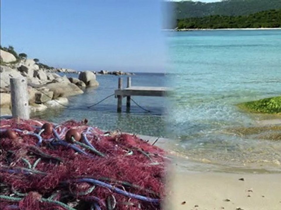 One island...Corsica/ C.Poletti